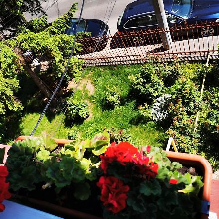 Apartament Apartament Hunter Kluż-Napoka Zewnętrze zdjęcie