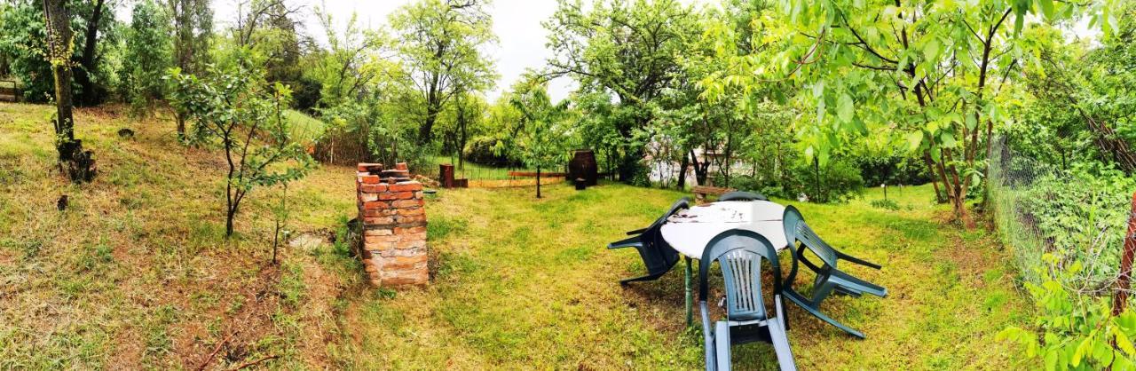 Apartament Apartament Hunter Kluż-Napoka Zewnętrze zdjęcie