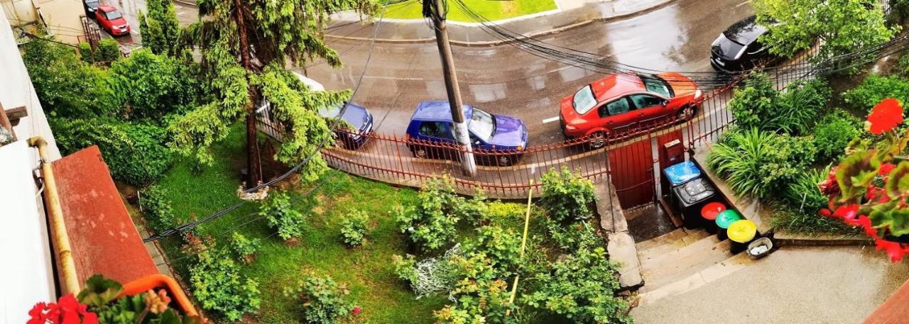 Apartament Apartament Hunter Kluż-Napoka Zewnętrze zdjęcie