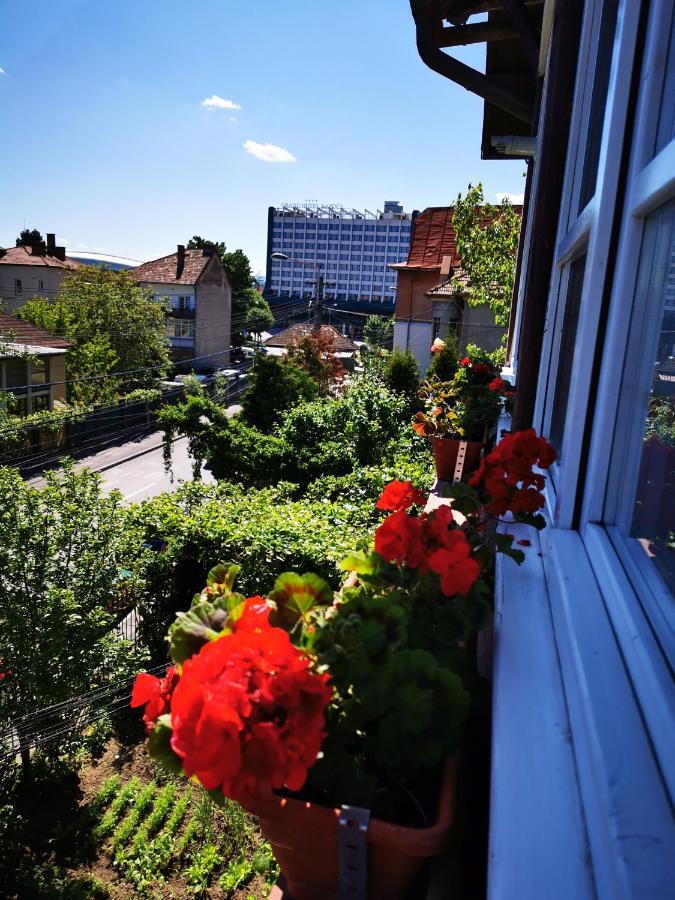 Apartament Apartament Hunter Kluż-Napoka Zewnętrze zdjęcie