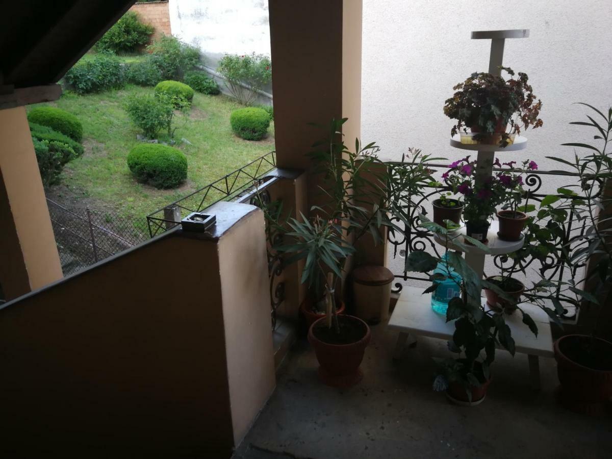 Apartament Apartament Hunter Kluż-Napoka Zewnętrze zdjęcie