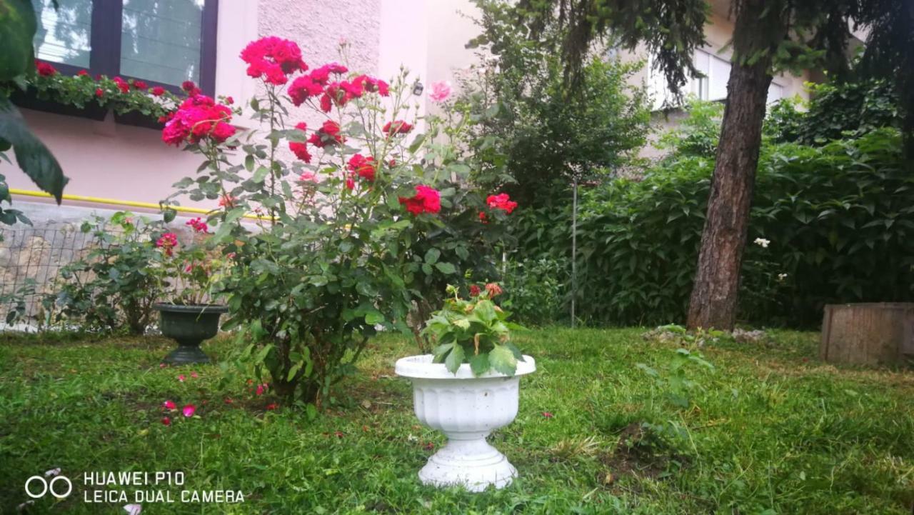 Apartament Apartament Hunter Kluż-Napoka Zewnętrze zdjęcie