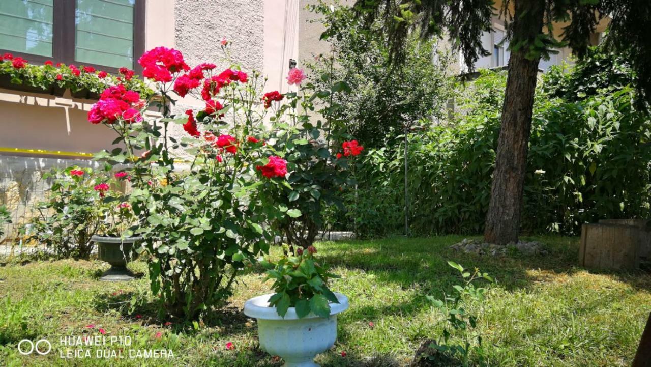 Apartament Apartament Hunter Kluż-Napoka Zewnętrze zdjęcie