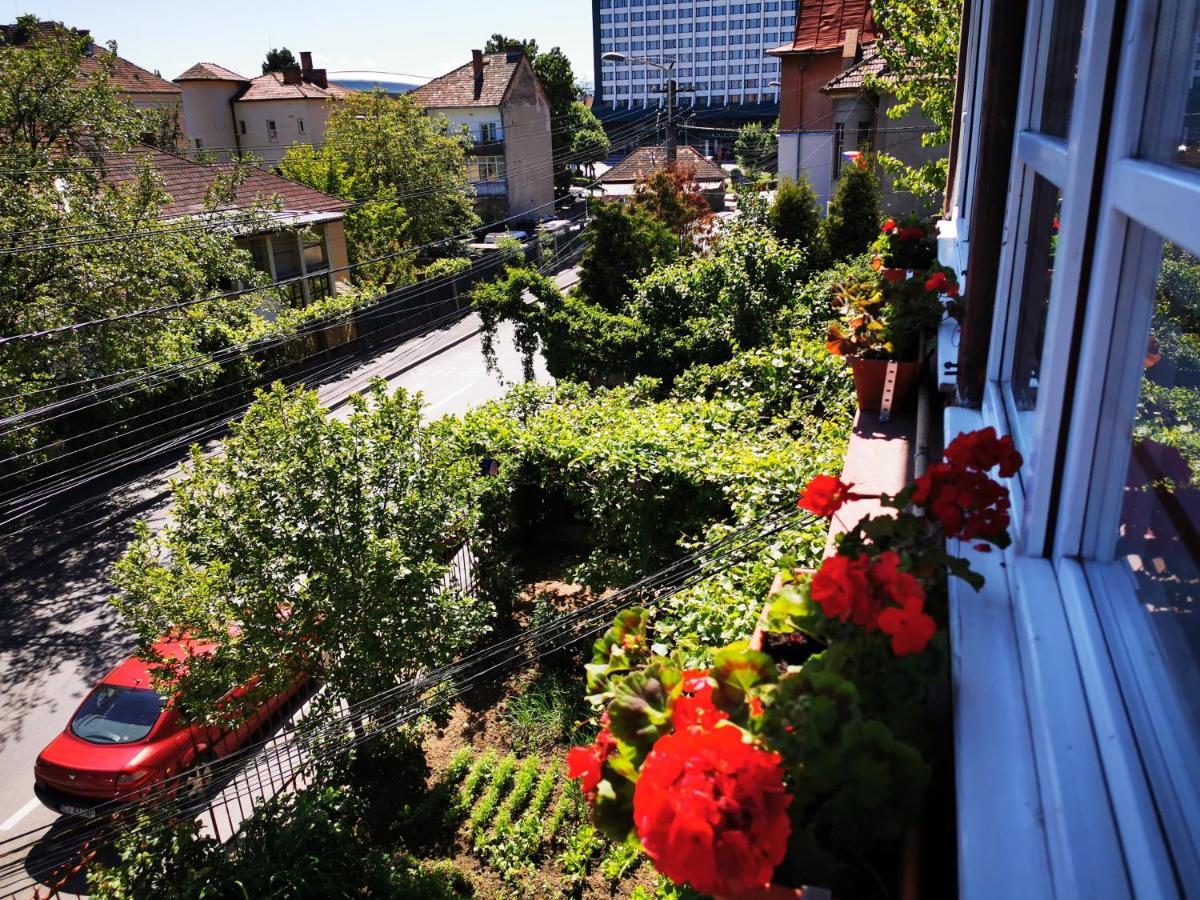 Apartament Apartament Hunter Kluż-Napoka Zewnętrze zdjęcie